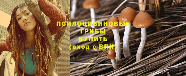 дмт Алзамай